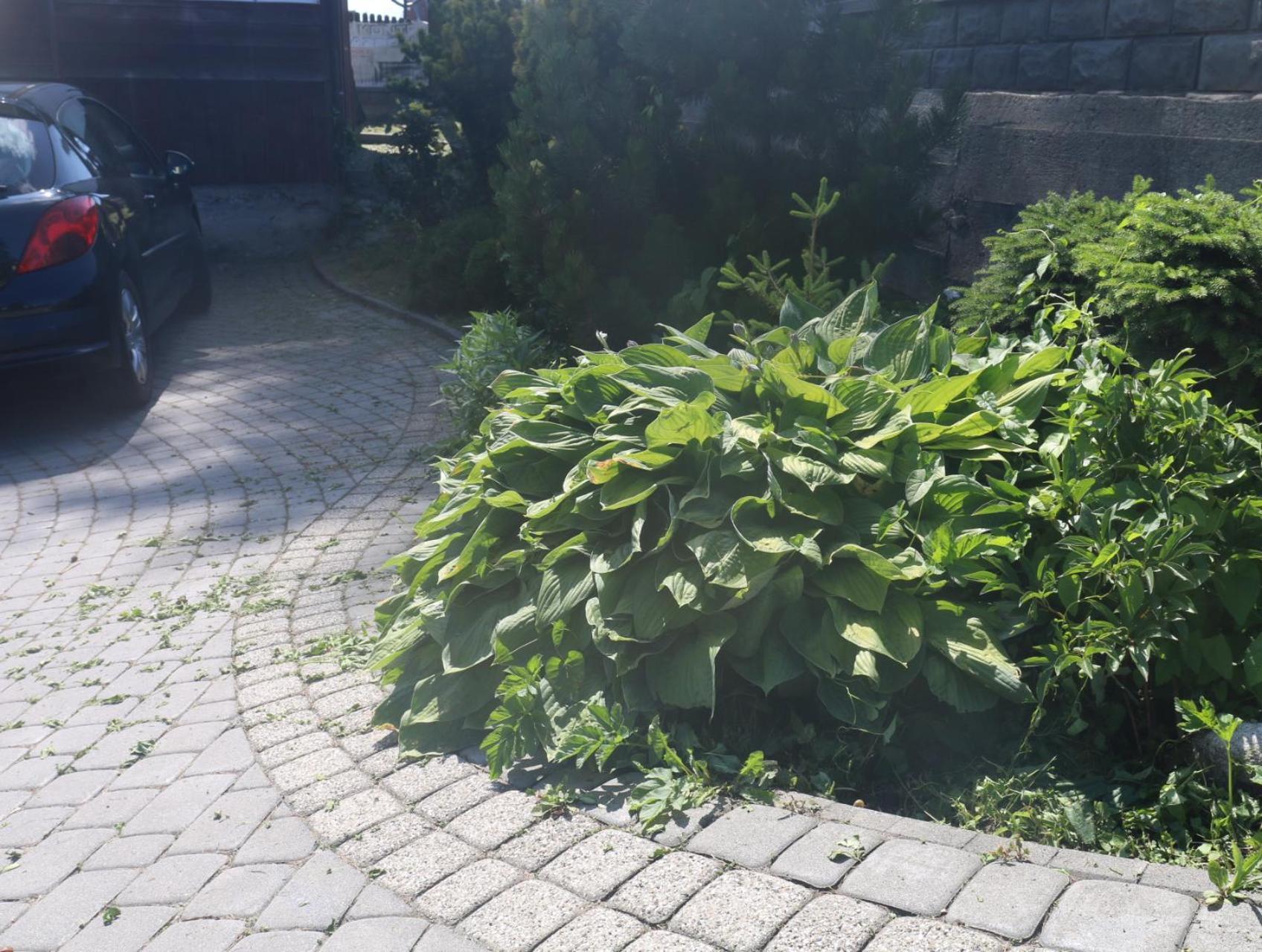 Smyrecek-Centrum Bukowiny Bukowina Tatrzańska Exterior foto