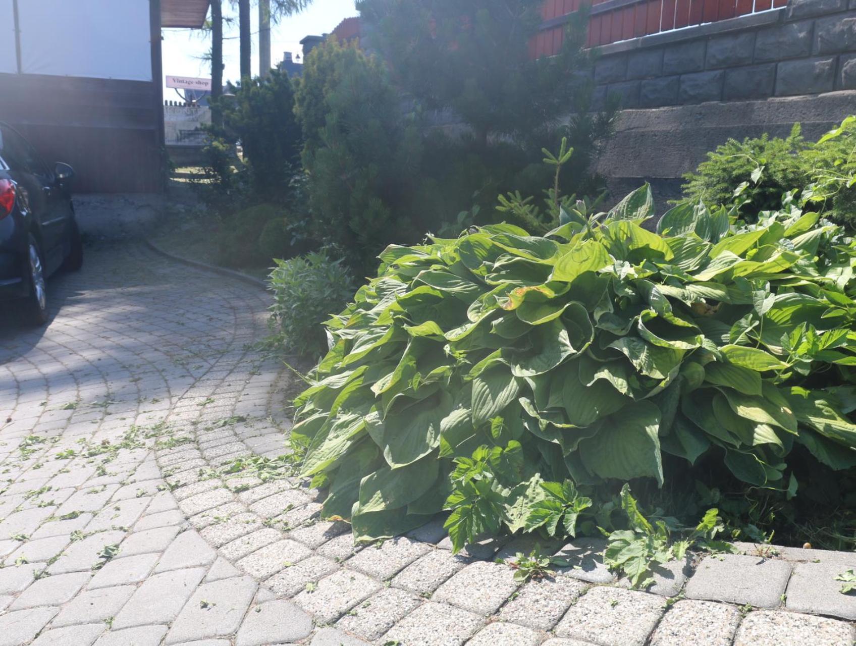 Smyrecek-Centrum Bukowiny Bukowina Tatrzańska Exterior foto