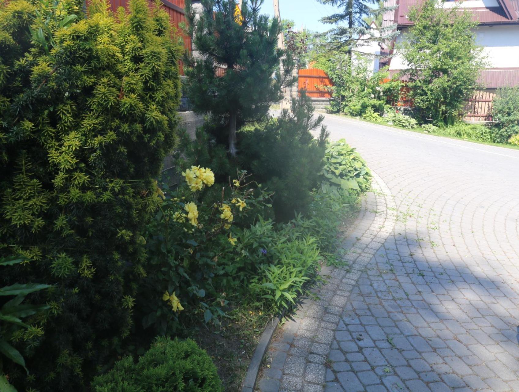 Smyrecek-Centrum Bukowiny Bukowina Tatrzańska Exterior foto